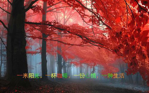 于荏苒陈东烨小说全文免费阅读完结版小说全章节目录阅读