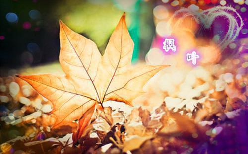 夏汐晚傅沉骁：+后续+结局在线阅读无弹窗_夏汐晚傅沉骁最新章节阅读全文夏汐晚傅沉骁：+后续+结局
