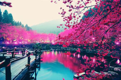 极限拉扯！大佬被我撩得脸红心跳柳锦棠沈淮旭全文阅读_极限拉扯！大佬被我撩得脸红心跳柳锦棠沈淮旭全文免费阅读