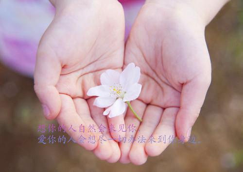 向婉宁与顾辞小说：结局+后续（向婉宁顾辞）全文免费阅读无弹窗大结局_向婉宁与顾辞小说：结局+后续最新章节列表（向婉宁顾辞）