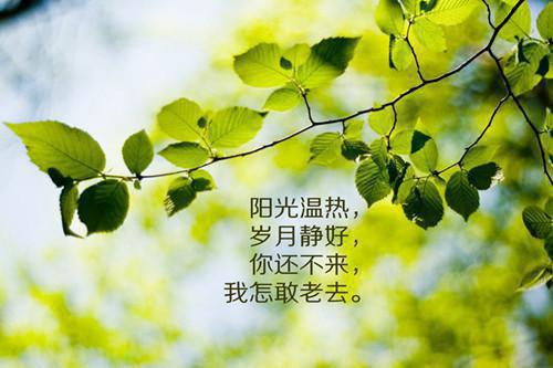 一辈子做好一件事