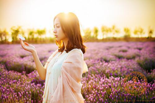 成功的项目管理案例项目管理案例分析