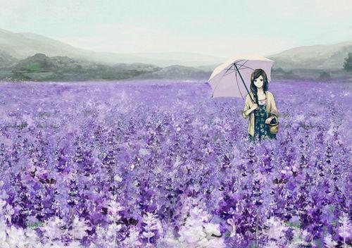 虞倾皎沈寒山最新章节_虞倾皎沈寒山全文免费阅读