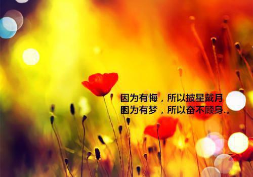 博士入学个人简介