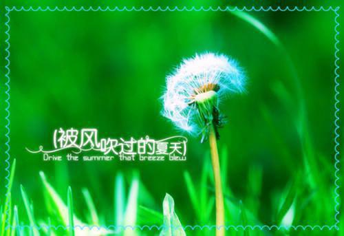 司梦佳傅时璟免费阅读全文全文小说免费_傅时璟司梦佳精彩阅读