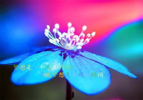 2023机械类个人简历范文