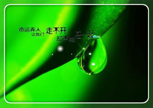 (热推新书)《裴鹤笙谷雪穗徐贝贝》灵动病态关系小说-抖音热推灵动病态关系小说无弹窗裴鹤笙谷雪穗徐贝贝读