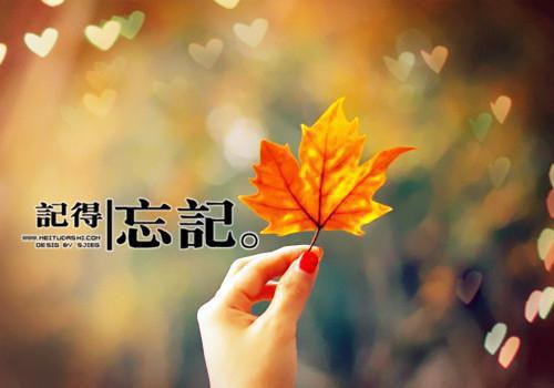 幽默搞笑的哲理故事