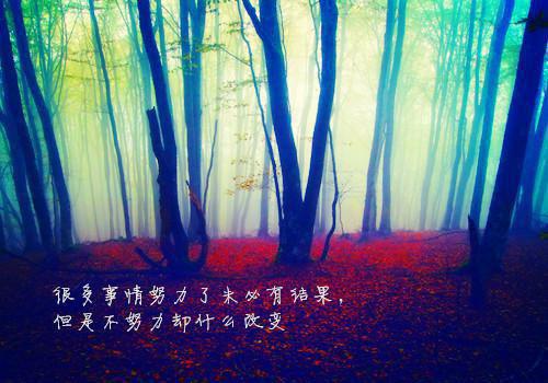 国外十大励志歌曲
