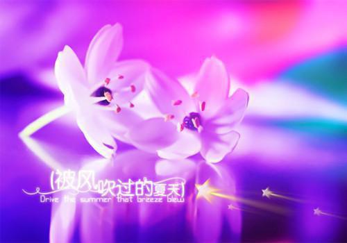 怎么在网上赚钱