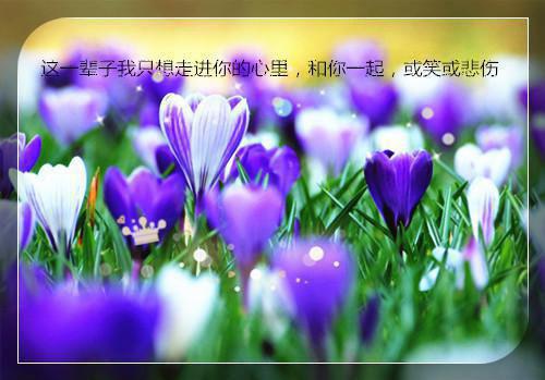 拯救沉迷网络游戏弟弟的故事