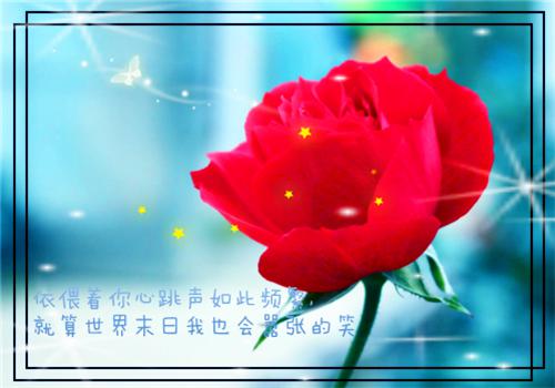 空白个人简历表格可填写