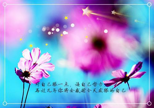 这一脚，我踢爆了整个球坛小说免费阅读叶辰全文完结版小说阅读