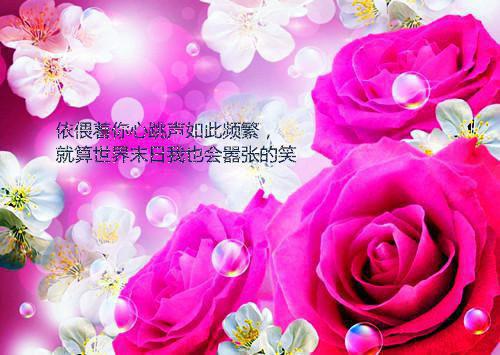 工商管理硕士英文求职简历表格