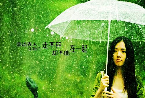 画爱为牢最新章节_画爱为牢全文免费阅读