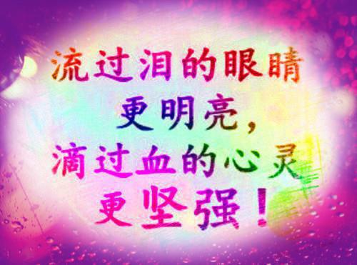 陆晟梁昀魏宁(盼春公主)全文在线阅读无弹窗大结局_(陆晟梁昀魏宁盼春公主)陆晟梁昀魏宁在线阅读无弹窗最新章节列表(盼春公主)
