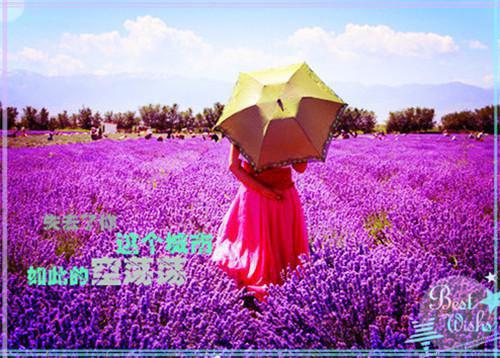 孤独一个人的心情签名伤感 我生来孤独热闹全靠自己拥有