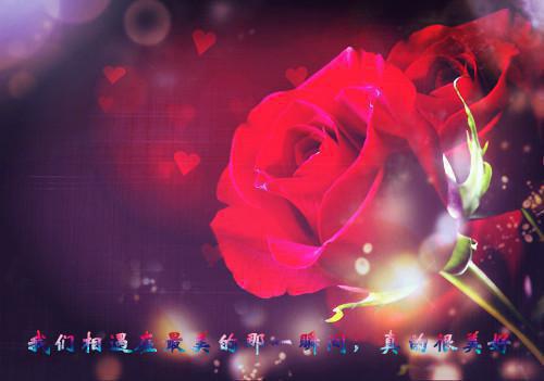 姜颜苏砚：心的第七次颤动：彩蛋+外篇（苏砚姜颜）全文免费阅读无弹窗大结局_(姜颜苏砚：心的第七次颤动：彩蛋+外篇后续大结局)苏砚姜颜最新章节列表（姜颜苏砚：心的第七次颤动：彩蛋+外篇）