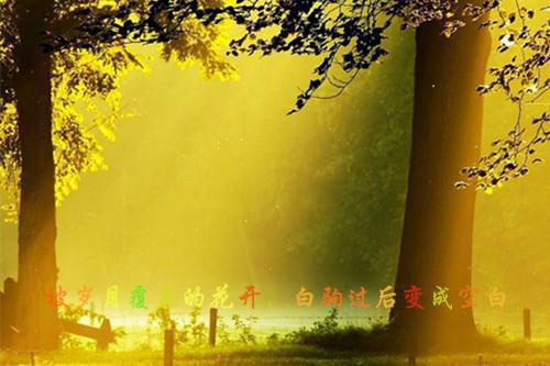 仓颉是怎么造字的呢