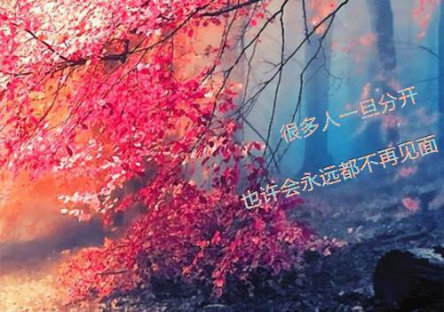 激发人的正能量的句子