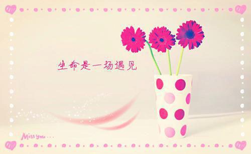最新个人工作简历范文