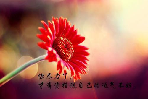 冰枫不顾全文免费阅读（冰枫不顾小说）全文在线陈衍许枝意读无弹窗大结局_（陈衍许枝意全文在线陈衍许枝意读弹窗）无冰枫不顾小说最新章节列表（陈衍许枝意）