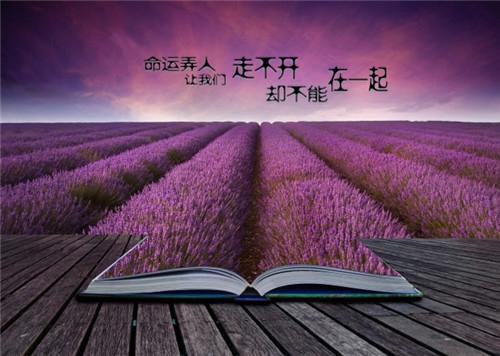墨锦衍瓷音（墨锦衍瓷音）全文阅读-（墨锦衍瓷音）小说免费阅读最新章节