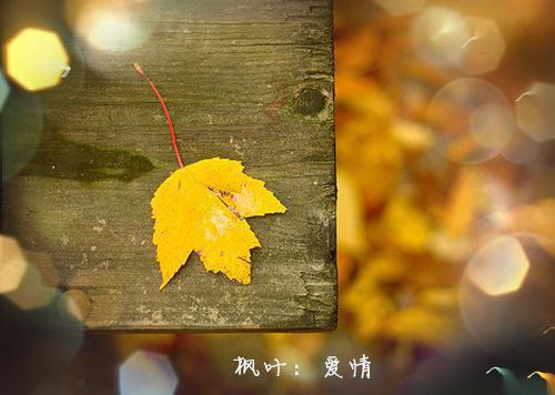 你是我未拆的遗书裴谨言桑年全文阅读_你是我未拆的遗书裴谨言桑年全文免费阅读