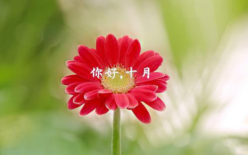 热文（陈志远林之雅）美文阅读_热门小说末世陈志远林之雅小说陈志远林之雅最新章节