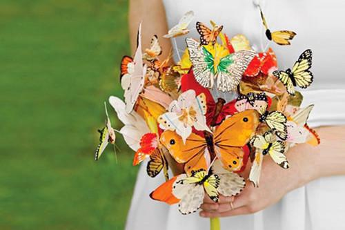 《帝少私宠美娇妻》戚芊芊蓝井完结版全章节阅读