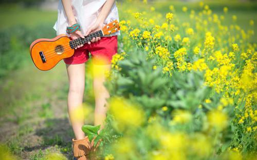 热门小说陆泽苏若（音韵若若）最新章节阅读-小说陆泽苏若主角叫什么音韵若若