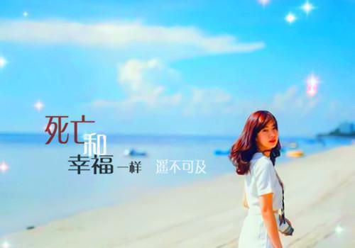 苏安窈陆景霖小说免费阅读全文全文小说苏安窈陆景霖目录