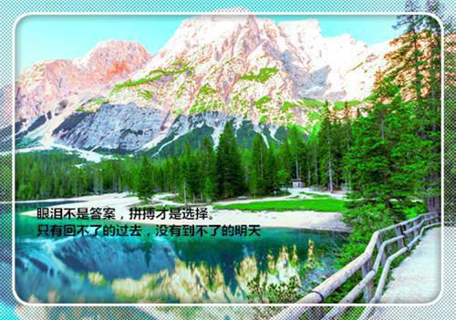 有哪些经典的书籍