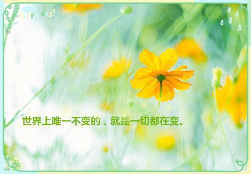 跟单文员应聘简历范文