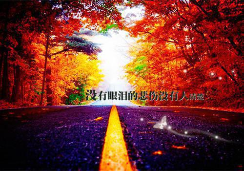 孟昭王丽娟的小说 孟昭王丽娟全文免费阅读