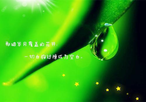 乡下未婚妻是真大佬:薄寒年叶凝（薄寒年叶凝）全文免费阅读无弹窗大结局_（乡下未婚妻是真大佬:薄寒年叶凝薄寒年叶凝全文免费阅读无弹窗）乡下未婚妻是真大佬:薄寒年叶凝最新章节列表（乡下未婚妻是真大佬:薄寒年叶凝）