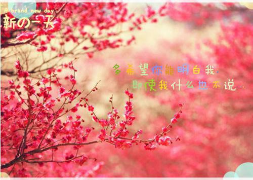 《萧云惜陆寒渊的小说全文阅读》全本小说_萧云惜陆寒渊全本阅读