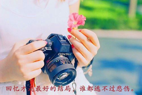 苹果成功之道