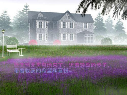陆少又去追妻了最新章节_陆少又去追妻了全文免费阅读