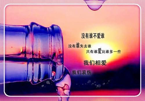 国际商务管理简历表格