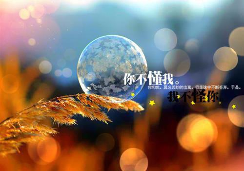 经典励志小说火爆天王经典语录