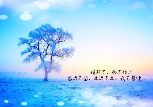 适合年会唱的励志歌曲