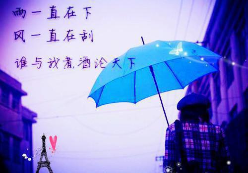 宋舒云时聿飞全文免费阅读无弹窗大结局_宋舒云时聿飞(宋舒云时聿飞小说)最新章节