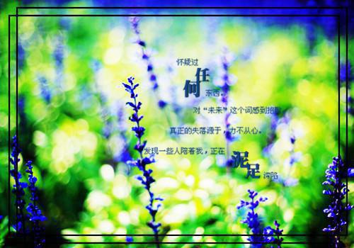 小学儿童故事三篇