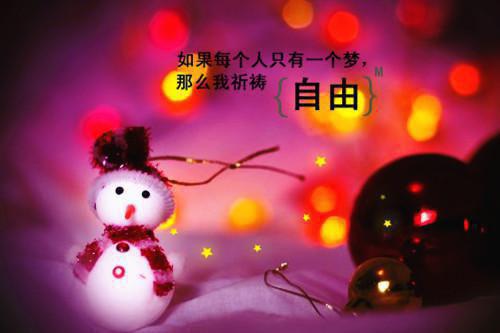 七零：穿成冷面大佬的炮灰前妻最新章节_七零：穿成冷面大佬的炮灰前妻全文免费阅读