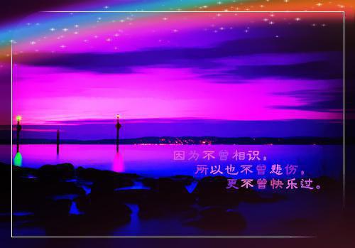 2023会计大专简历范文