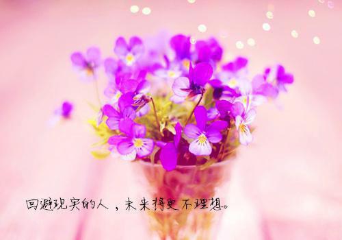 梁菀芸宋瑾宸小说最新章节 梁菀芸宋瑾宸免费阅读