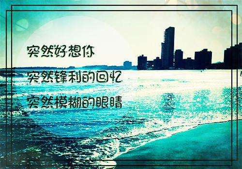个人简历表格式