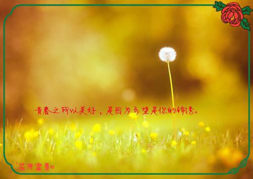校园励志电影夏天有风吹过