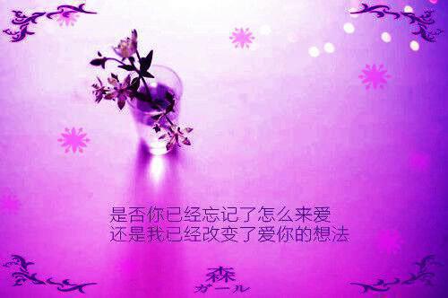 医药代表个人简历范文